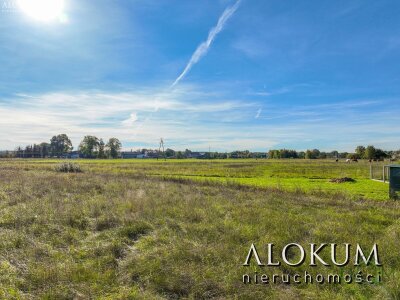 alokum_nieruchomosci_zs_3219_6.jpg