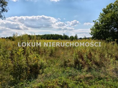 lokum_nieruchomosci_dt_zs_LOK-GS-1791_10.jpg