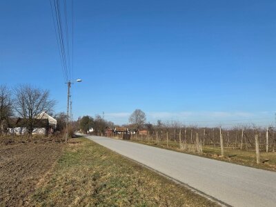 jolanta_serwin_zs_JSN-GS-3056-2_6.jpg