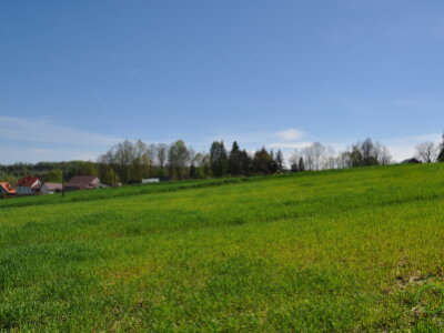 DSC_0930.JPG