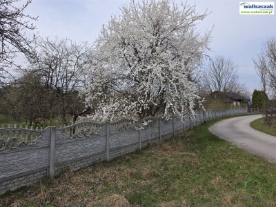 waliszczak_nieruchomosci_zs_GS-14857_10.jpg