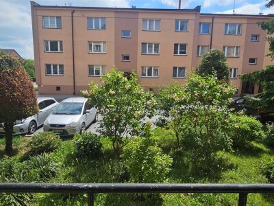 jolanta_serwin_ms_JSN-MS-3086-5_15.jpg