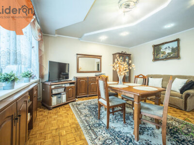 lideron_ms_731294_7.jpg