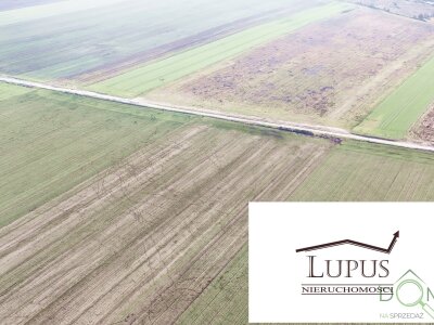 lupus_nieruchomosci_zs_2203_7.jpg