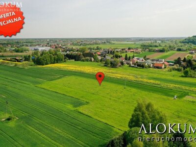 alokum_nieruchomosci_zs_2026_1.jpg