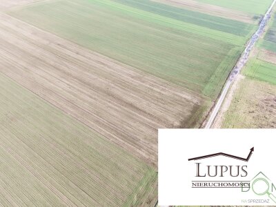 lupus_nieruchomosci_zs_2203_5.jpg