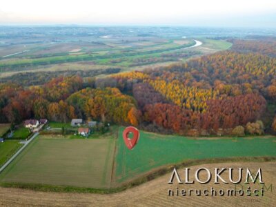 alokum_nieruchomosci_zs_2219_3.jpg