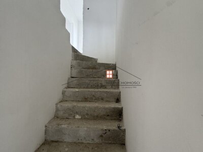 113840860.jpg