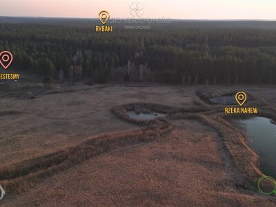 dolinscy_nieruchomosci_zs_PDN-GS-97_2.jpg