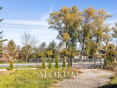 alokum_nieruchomosci_ds_3401_4.jpg