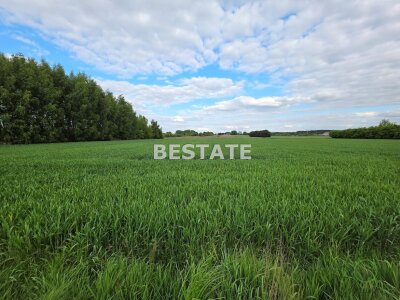 bestate_nieruchomosci_zs_BESP-GS-14890-1_4.jpg