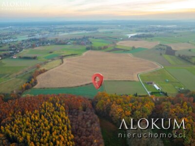 alokum_nieruchomosci_zs_2219_4.jpg