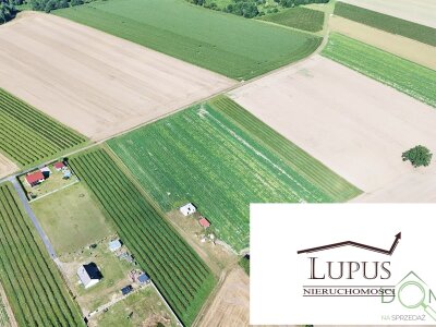 lupus_nieruchomosci_zs_2197_11.jpg