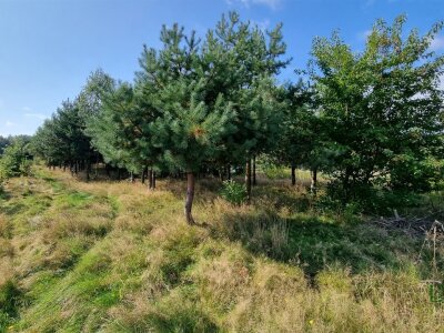 waliszczak_nieruchomosci_zs_GS-14640-4_5.jpg