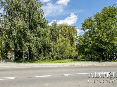 alokum_nieruchomosci_zs_3224_12.jpg