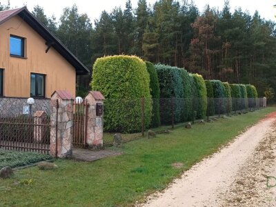 waliszczak_nieruchomosci_ds_DS-14768_8.jpg