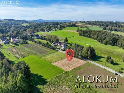 alokum_nieruchomosci_zs_2974_6.jpg