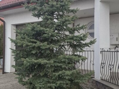 adrem_nieruchomosci_bialystok_ds_922009_2.jpg