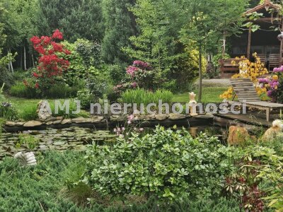 amj_nieruchomosci_ds_AMJ-DS-232-4_19.jpg
