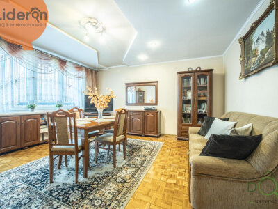 lideron_ms_731294_8.jpg
