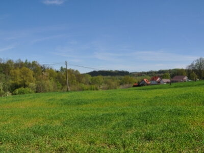 DSC_0928.JPG