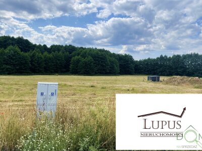 lupus_nieruchomosci_zs_2192_13.jpg