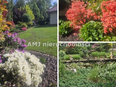amj_nieruchomosci_ds_AMJ-DS-232-4_9.jpg