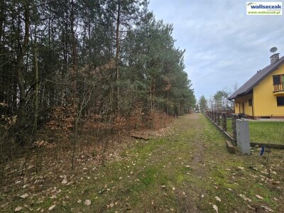 waliszczak_nieruchomosci_zs_GS-14868_4.jpg
