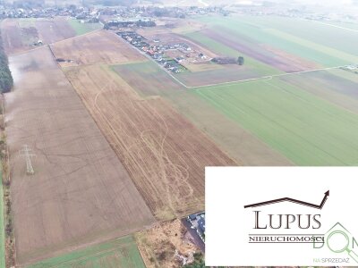 lupus_nieruchomosci_zs_2206_8.jpg