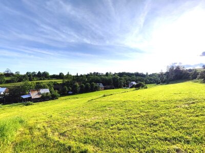 Zdjęcie WhatsApp 2025-06-25 o 15.32.37_f6f72717.jpg