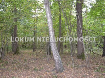 lokum_nieruchomosci_dt_zs_LOK-GS-1786_10.jpg