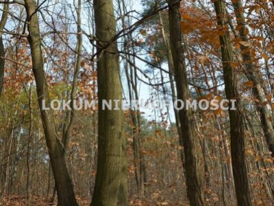 lokum_nieruchomosci_dt_zs_LOK-GS-1467_16.jpg