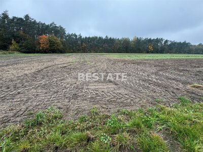 bestate_nieruchomosci_zs_BESP-GS-15117_5.jpg