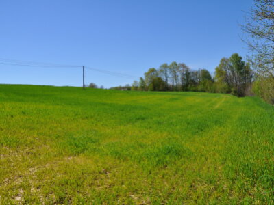DSC_0922.JPG