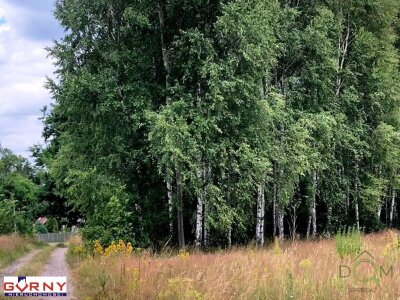 gorny_nieruchomosci_zs_NIG-GS-4276_1.jpg