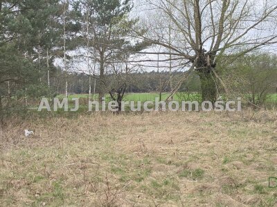 amj_nieruchomosci_zs_AMJ-GS-242_8.jpg