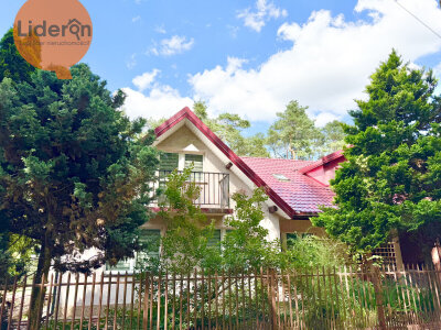 lideron_ds_571787_21.jpg