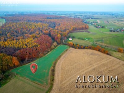 alokum_nieruchomosci_zs_2219_2.jpg