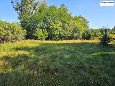 waliszczak_nieruchomosci_zs_GS-14495_1.jpg
