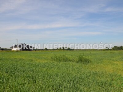 lokum_nieruchomosci_dt_zs_LOK-GS-1873_6.jpg