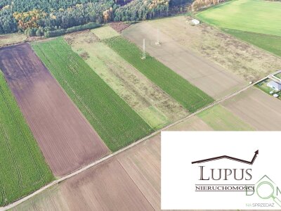 lupus_nieruchomosci_zs_2202_3.jpg