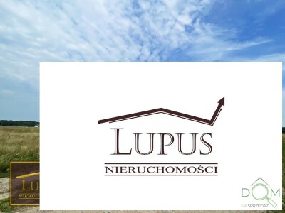 lupus_nieruchomosci_zs_2190_17.jpg