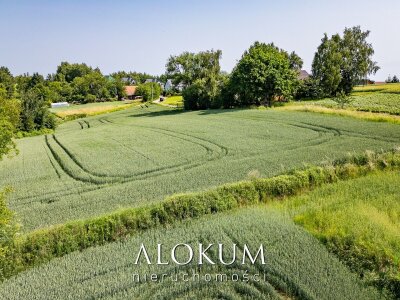 alokum_nieruchomosci_zs_3267_4.jpg