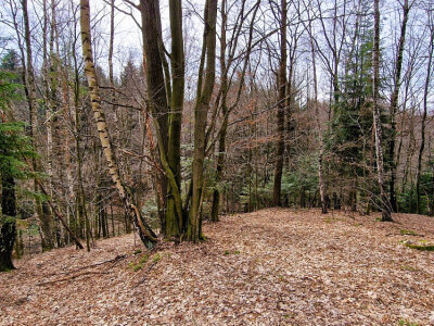 marcin_rzepka_nieruchomosci_zs_397_11.jpg