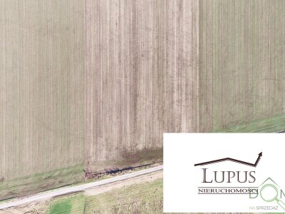 lupus_nieruchomosci_zs_2203_10.jpg