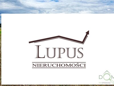 lupus_nieruchomosci_zs_2195_4.jpg