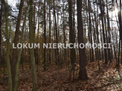 lokum_nieruchomosci_dt_zs_LOK-GS-1467_18.jpg