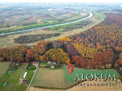 alokum_nieruchomosci_zs_2219_7.jpg