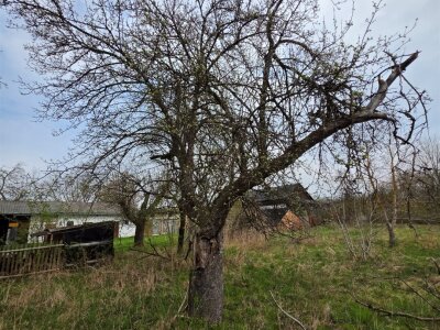 waliszczak_nieruchomosci_zs_GS-14857_11.jpg