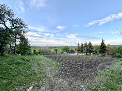 pozysk_nieruchomosci_ds_676104_1.jpg